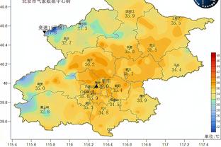 月最佳提名：西部浓眉KD申京 东部字母哥大帝马克西等球员在列